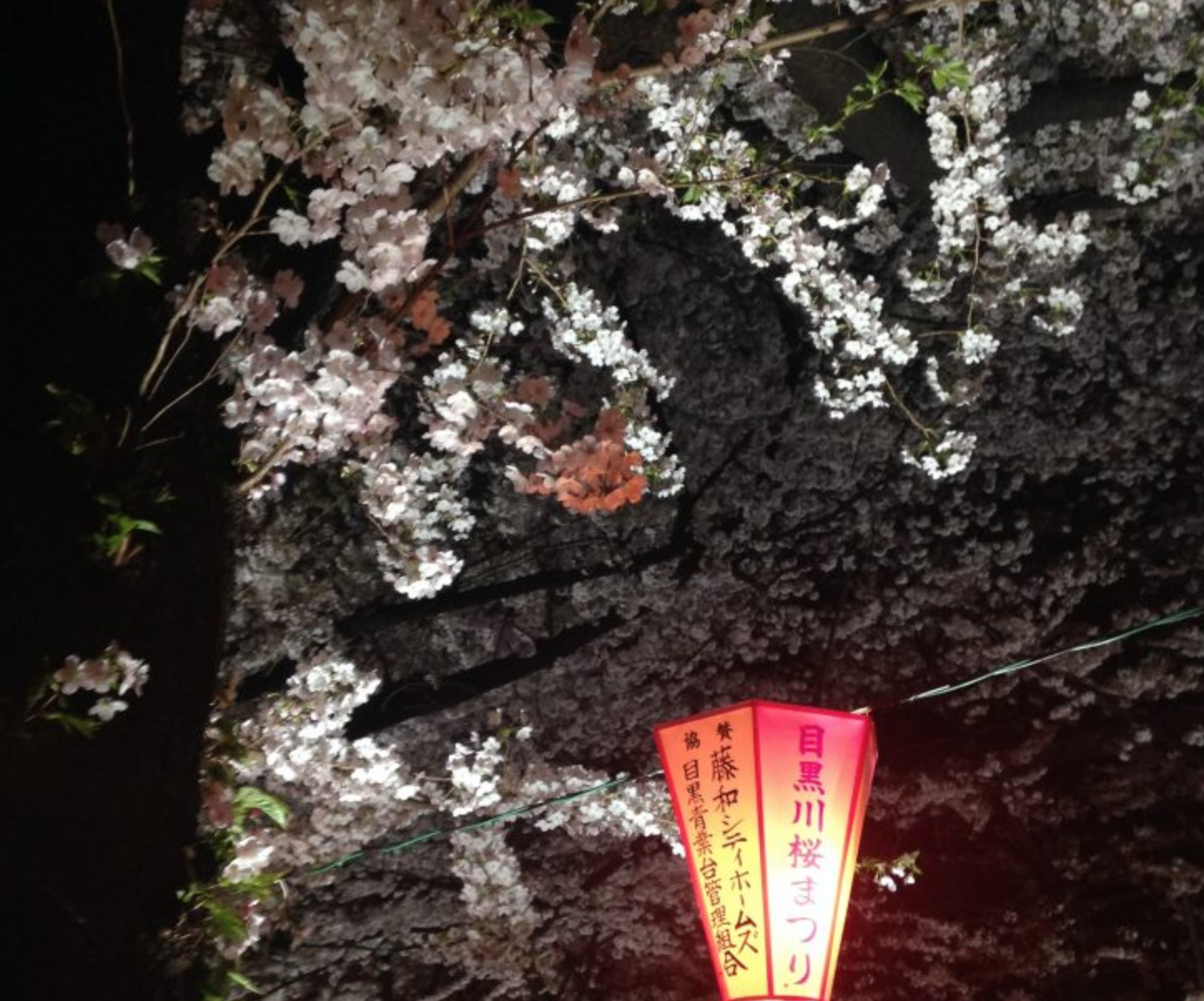 Kimono and Kitsuke - The Art of Dressing in Traditional Garb